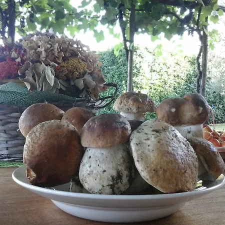 Bed & Breakfast Bio&b Cascina Montebello *
